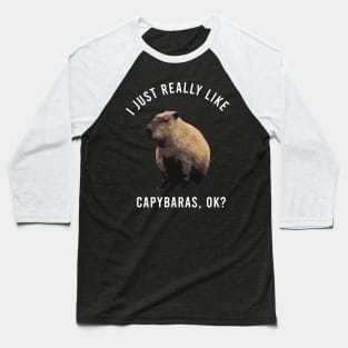 I-Just-Really-Like-Capybaras-OK Baseball T-Shirt